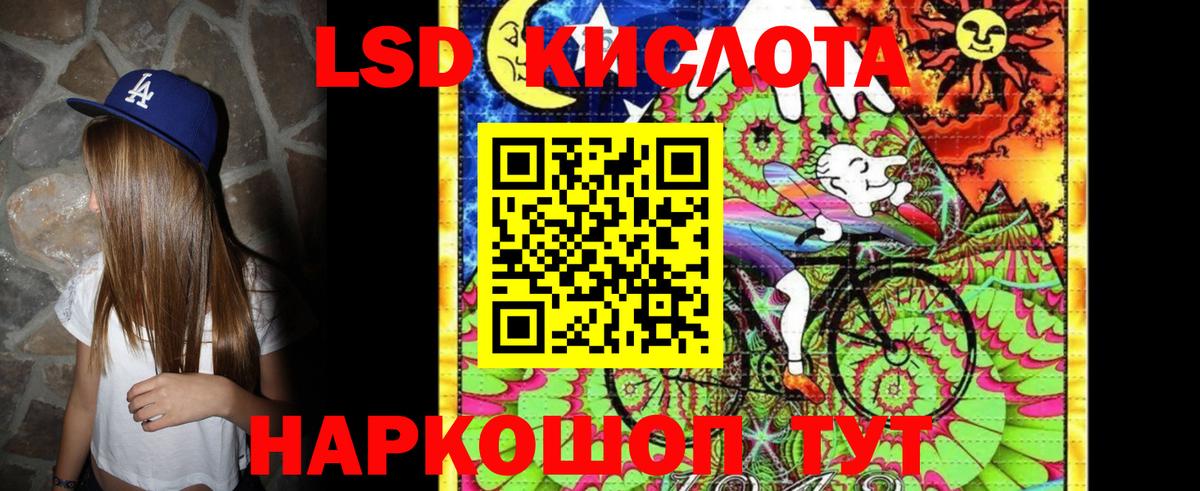 Псилоцибиновые грибы Тамбов