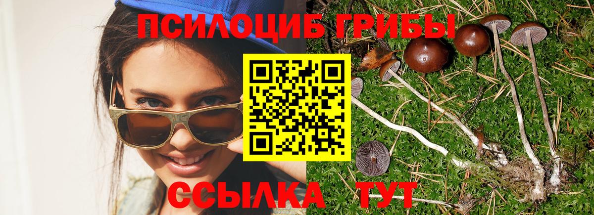Купить наркоту  Тамбов  Вход с VPN  МЕФ кристаллы  Гашиш  Бошки Шишки 