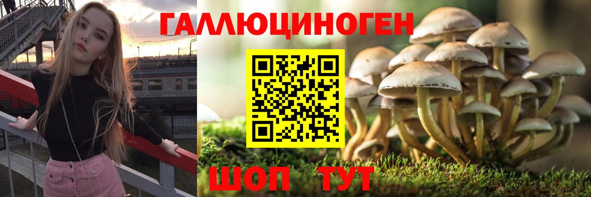 Тамбов  Галлюциногенные грибы Magic Shrooms  продажа наркотиков  Вход с VPN 